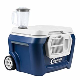 9 Best Speaker Coolers For Party In 2019 - BWS